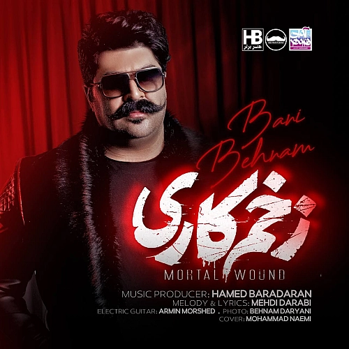 Cover artwork for Zakhme Kari by Behnam Bani